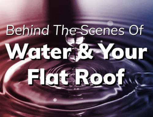 Behind The Scenes Of Water And Your Flat Roof