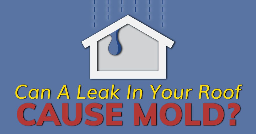 Can A Leak In Your Roof Cause Mold?