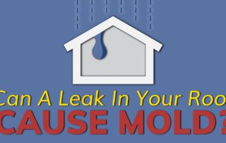 Can A Leak In Your Roof Cause Mold?