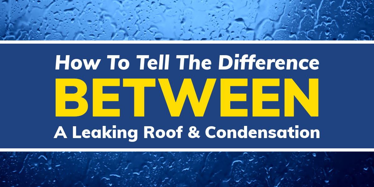 A Leaking Roof Or Condensation How To Tell The Difference