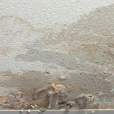 Ceiling with dripping water from a leaking roof.