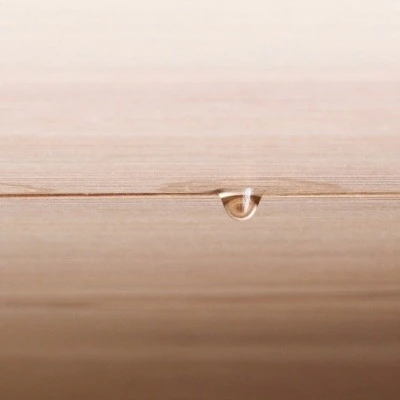 Single water droplet forming on ceiling from roof leak showing potential water damage