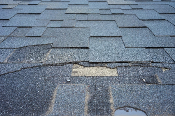cracked-damaged-missing-shingles-roof-repair Alt Text: Cracked and broken asphalt shingles with exposed underlayment showing signs of storm damage and the need for roof repair.