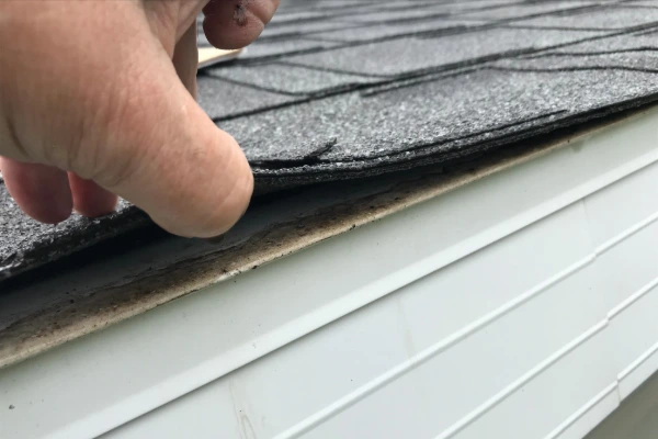 Close-up of a curling asphalt shingle lifting at the roof edge, indicating wear and the need for a professional roof inspection.