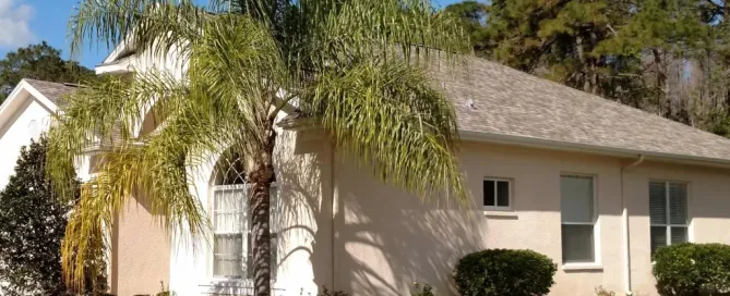 A Florida home with an asphalt shingle roof surrounded by palm trees and lush landscaping.