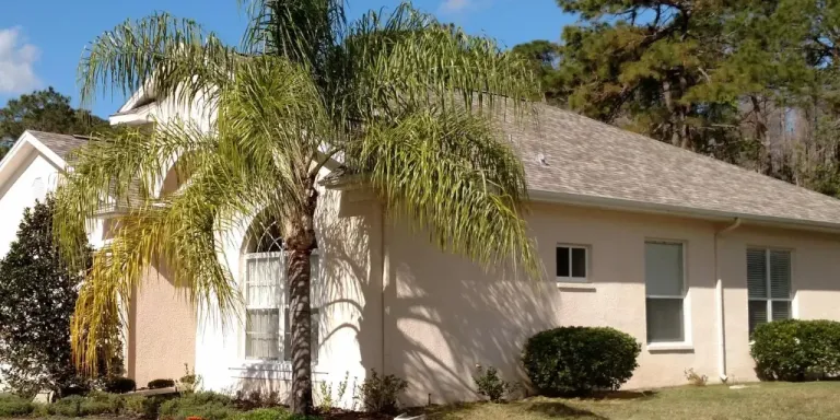 A Florida home with an asphalt shingle roof surrounded by palm trees and lush landscaping.
