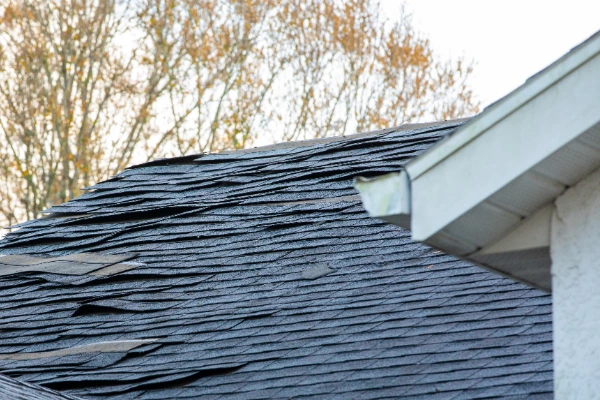 Close-up of curling and displaced asphalt shingles on a roof ridge showing wind damage