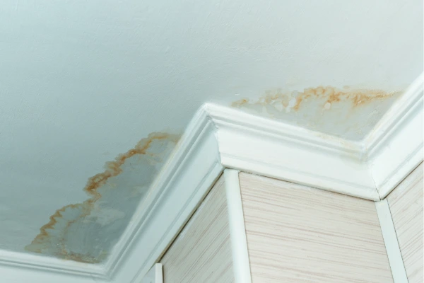 Water stains and damage on ceiling from a roof leak requiring repair.