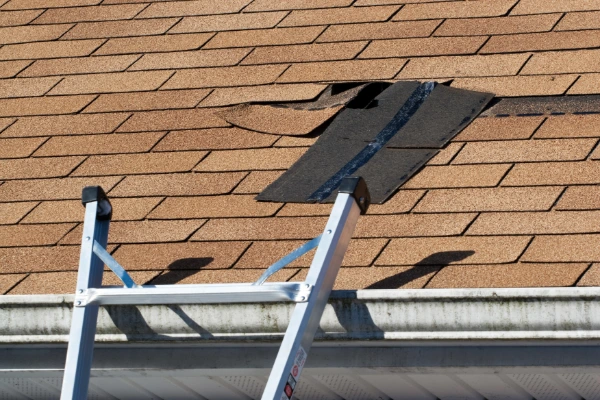 Damaged asphalt shingle exposed on a roof, showing storm damage that needs roof repair.